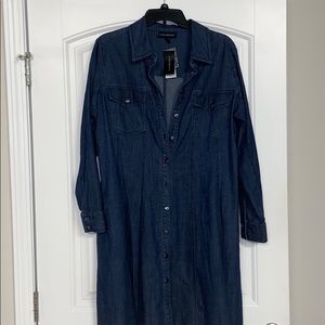 Plus size denim dress